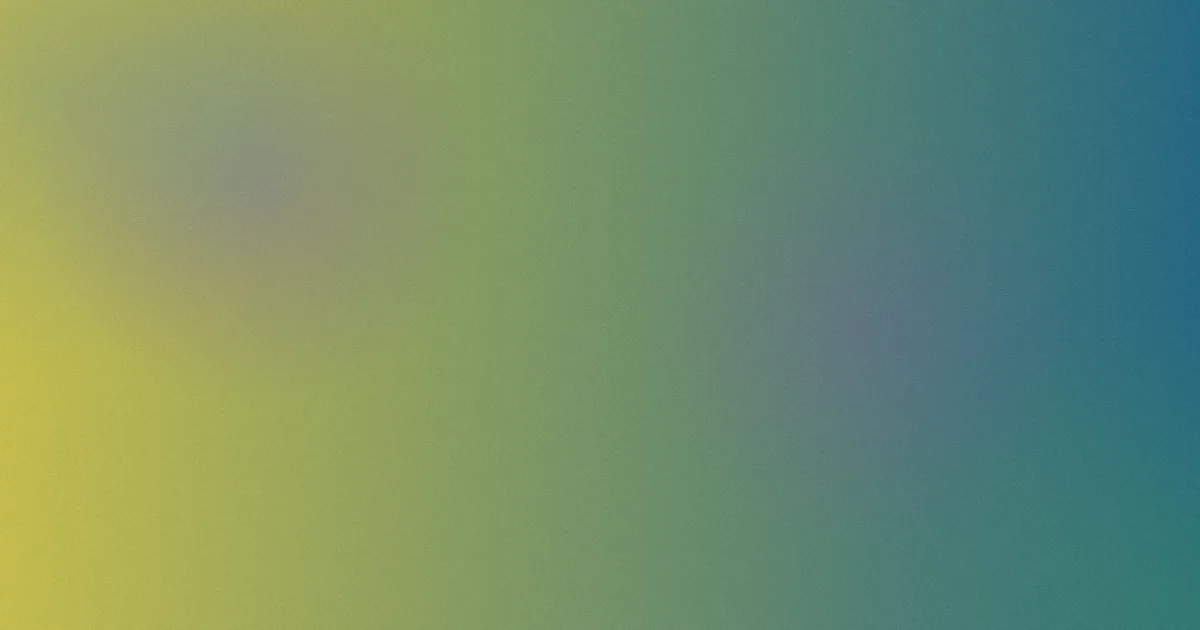 两个毫不动摇推荐：新手这样学